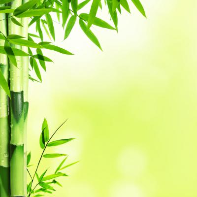 Fotobehang Bamboe op groene achtergrond