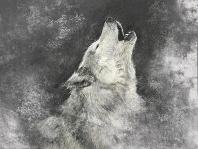 Fotobehang Witte huilende wolf