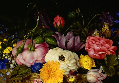 Fotobehang Kleurrijk boeket bloemen