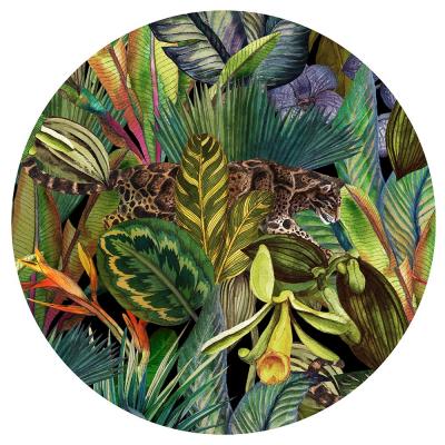 Sticker Kleuren van de jungle