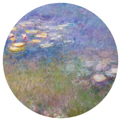 Sticker Waterlelies van Monet