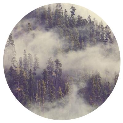 Sticker Rond frame van een hoog bos in mist