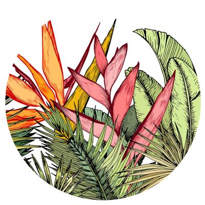 Sticker Verzameling van wilde planten