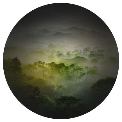Sticker Dicht equatoriaal bos