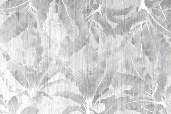 Fotobehang Tropische bananenbomen in grijstinten