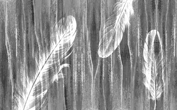 Fotobehang Veren op een grijze achtergrond met textuur