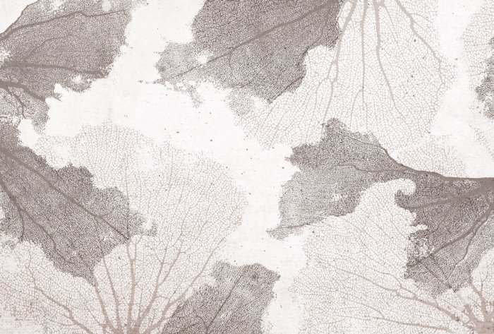 Fotobehang Beige koralen op een gestructureerde achtergrond