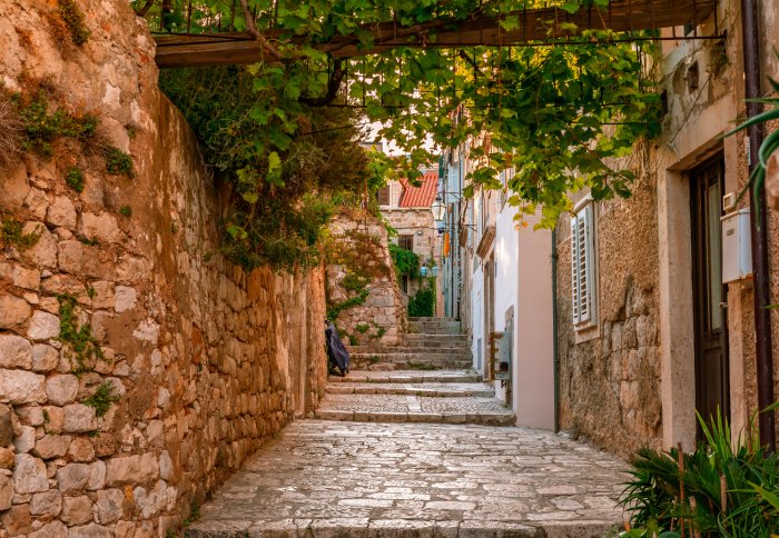 Fotobehang Architectuur op een stenen straat met groene planten