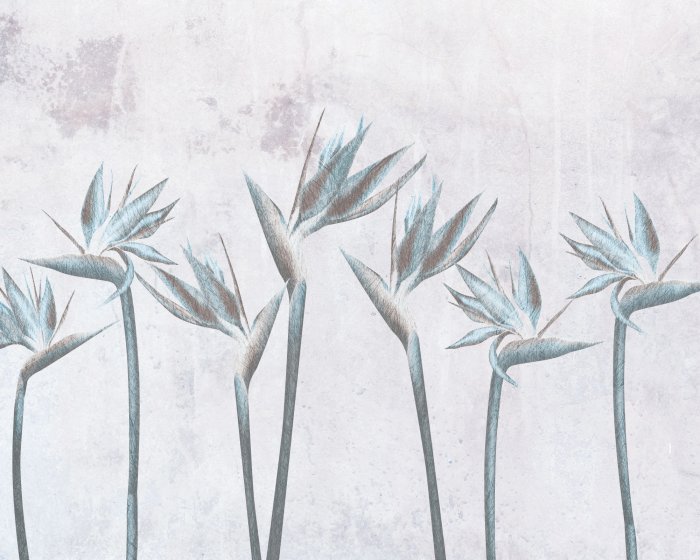 Fotobehang Paradijsvogelstrelitzia-bloemen op een betonnen achtergrond