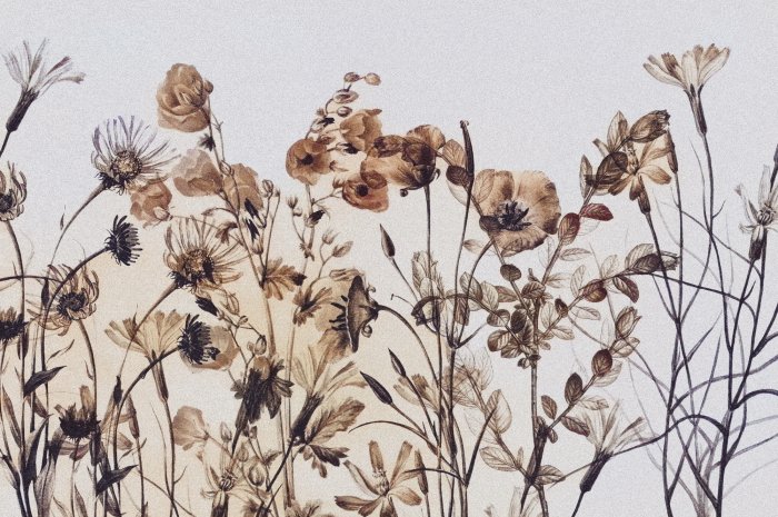 Fotobehang Botanisch patroon met wilde bloemen en delicate textuur