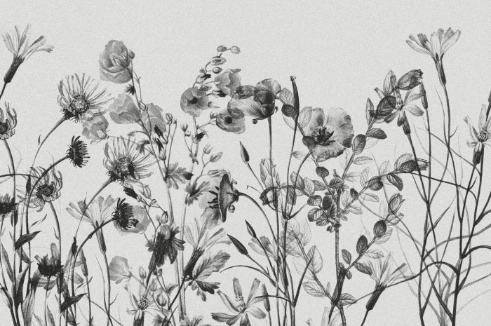 Fotobehang Zwart-wit botanisch patroon met wilde bloemen