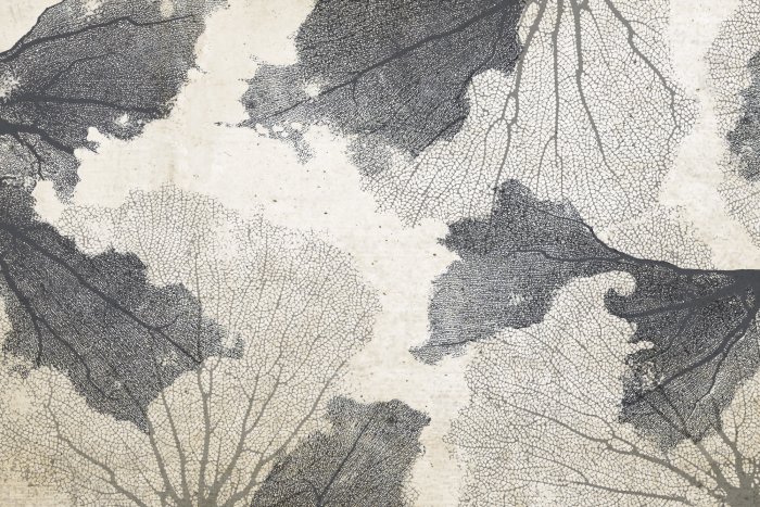 Fotobehang Grijze koralen op een achtergrond met betoneffect