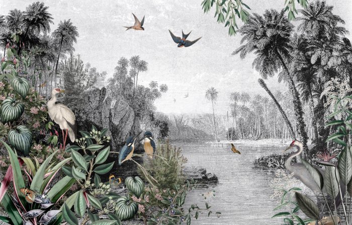 Fotobehang Tropisch landschap met vogels in de jungle