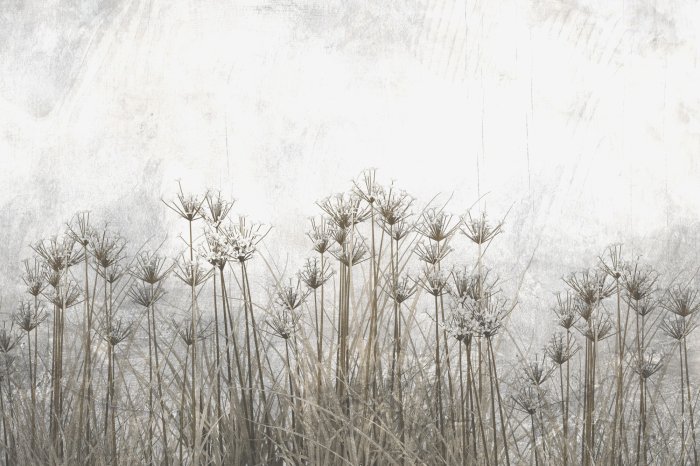Fotobehang Wilde planten op een grijze achtergrond