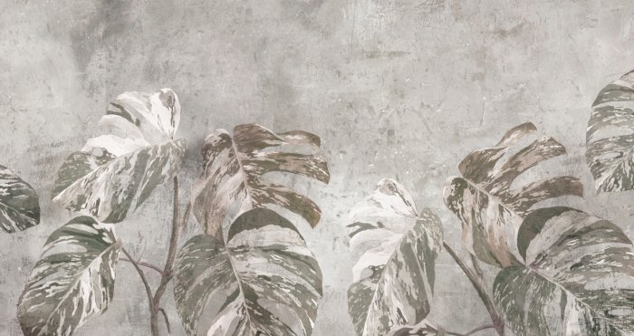 Grote monsterabladeren op beton, botanisch patroon