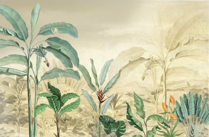 Fotobehang Tropische bomen en bladeren in een mistig bos