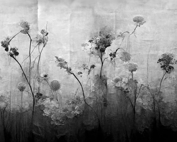 Fotobehang Wilde bloemen planten zwart-wit industrieel patroon