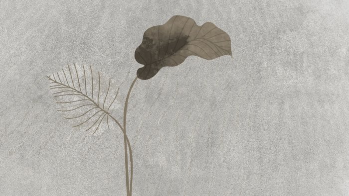 Fotobehang Minimalistisch bladpatroon op een grijze betonnen achtergrond