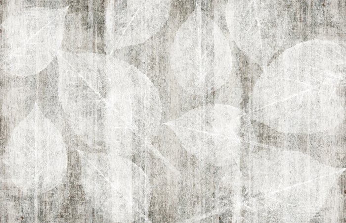 Fotobehang Witte bladeren op een gestructureerde achtergrond