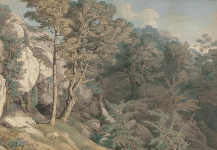 Fotobehang Bomen en planten tussen de rotsen, natuurlijk landschap