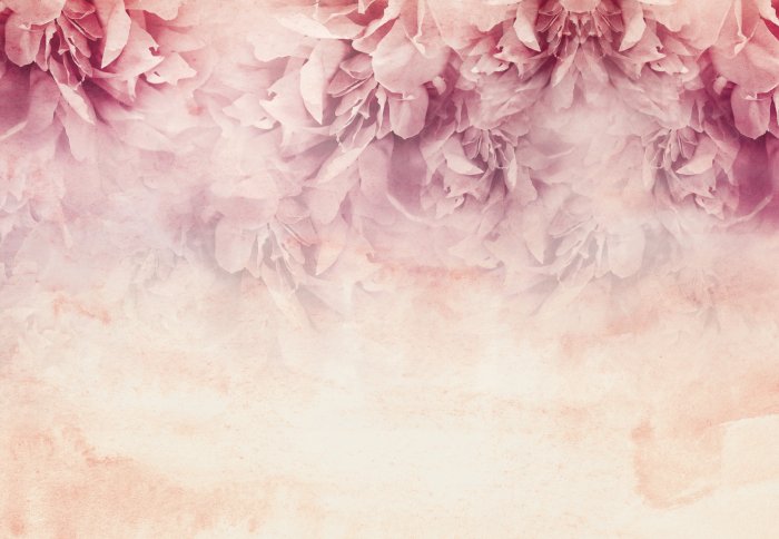 Fotobehang Roze pioenrozen op een gestructureerde achtergrond met een aquareleffect