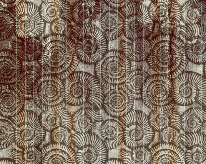 Fotobehang Schelpenpatroon met gestructureerde achtergrond