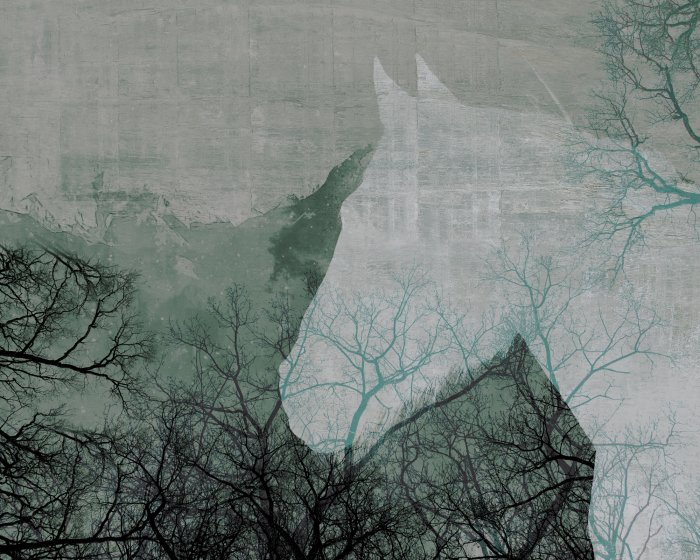 Fotobehang Abstract portret van een paard tussen bomen