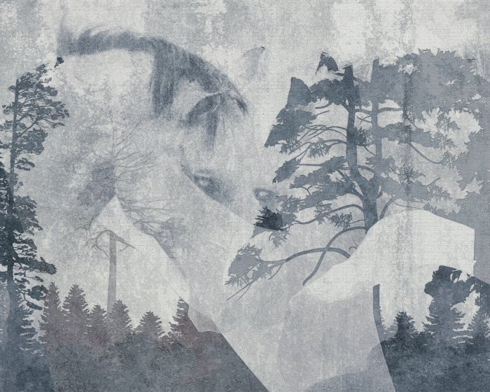 Fotobehang Paarden tegen een boslandschap, abstract portret