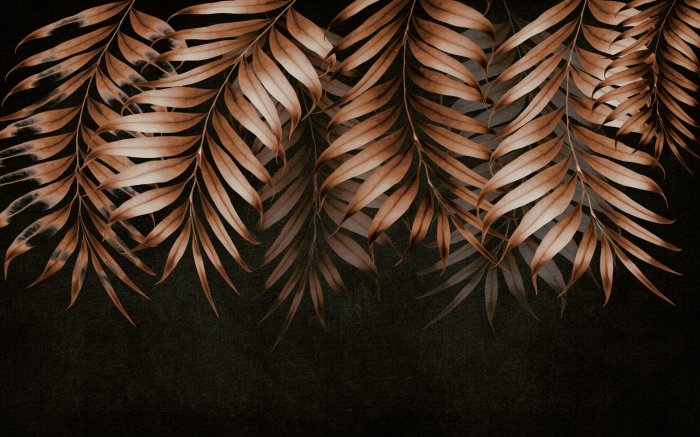 Fotobehang Herfstbladeren op een zwarte achtergrond