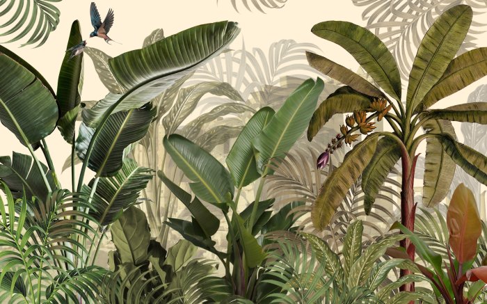 Fotobehang Exotische groene planten in de jungle