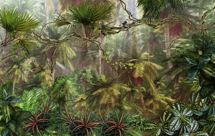 Fotobehang Vogels in de tropische jungle tussen de dichte vegetatie