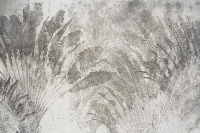 Fotobehang Grote grijze tropische bladeren op beton