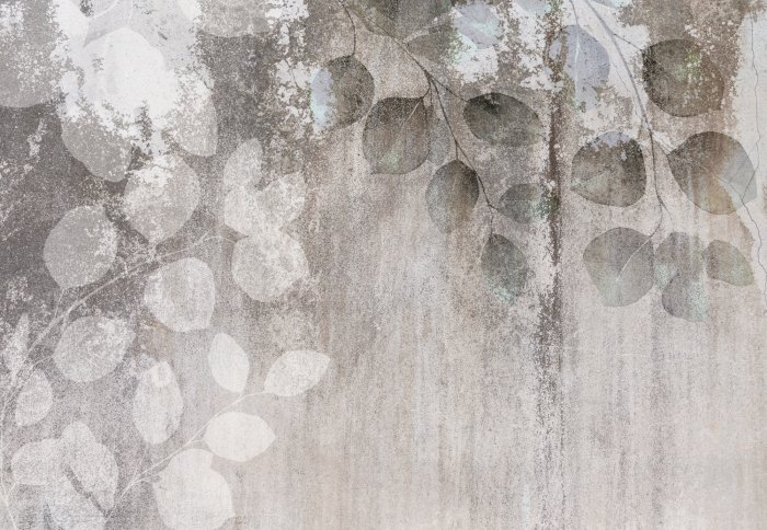 Fotobehang Eucalyptus takken met bladeren op een betonnen achtergrond