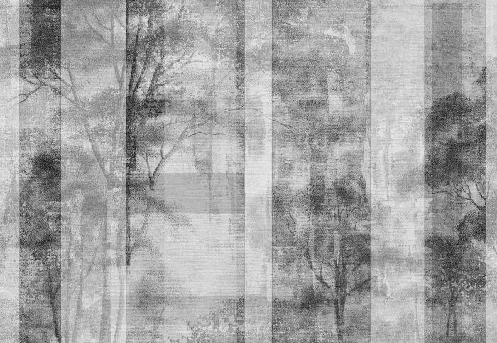 Fotobehang Boslandschap met bomen in zwart-wit