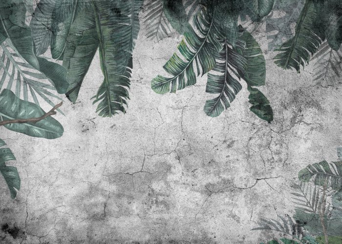 Fotobehang Tropische bladeren hangen aan een donkergrijze betonnen muur