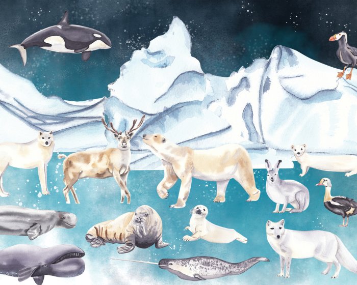 Fotobehang Dieren in een winterwonderlandpatroon voor kinderen