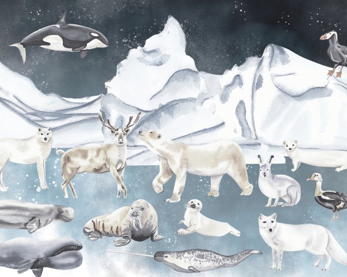 Fotobehang Kinderpatroon dieren in een winterwonderland