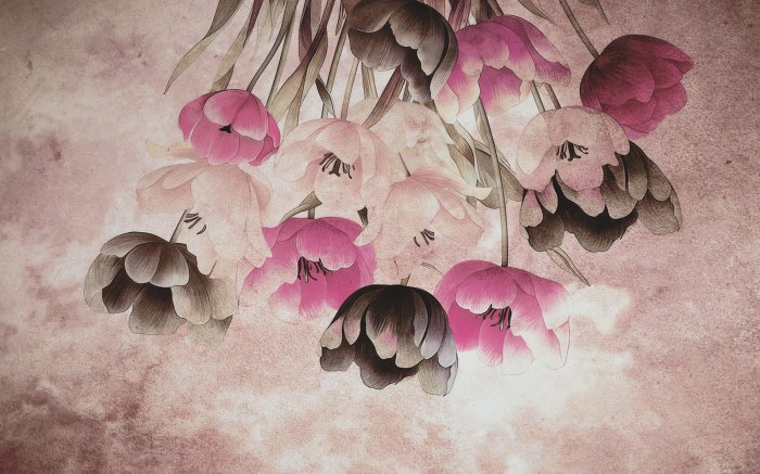 Fotobehang Retro tulpen op beton