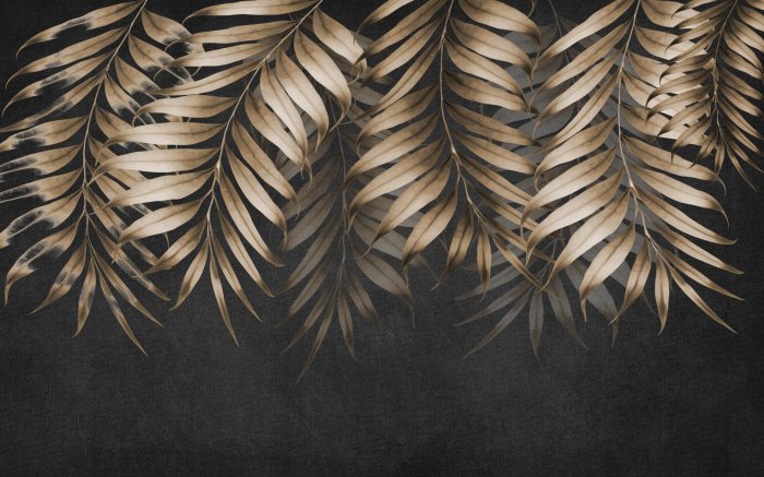 Fotobehang Grote palmbladeren op een zwarte achtergrond