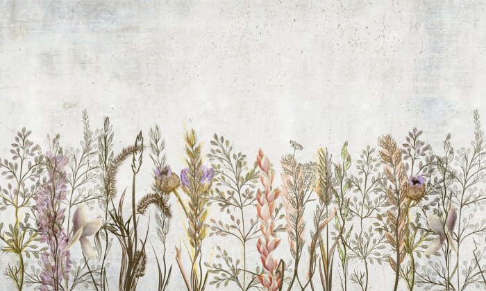 Fotobehang Veldplanten en bloemen op een grijze achtergrond