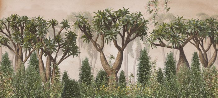 Fotobehang Vintage Redwood Forest