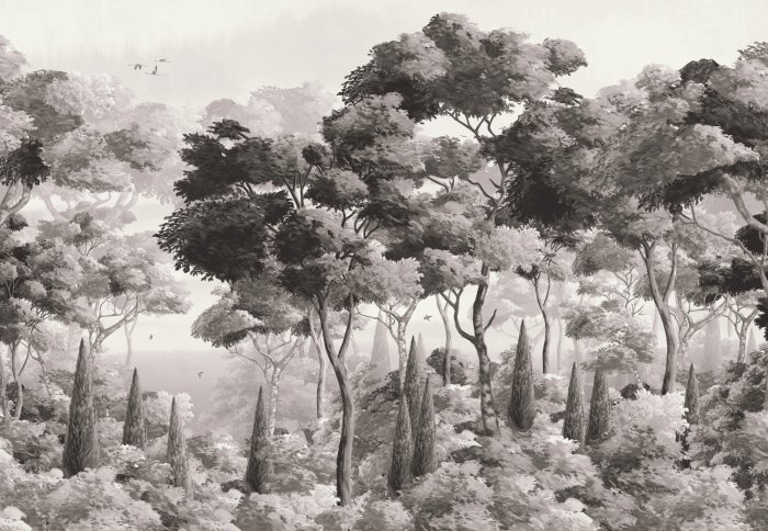 Fotobehang Monochroom landschap van een weelderig bos