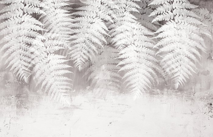 Fotobehang Witte varenbladeren op een betonnen achtergrond