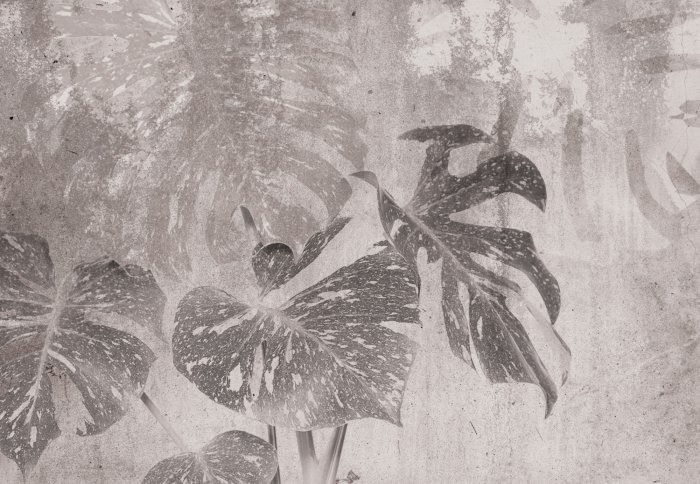 Monstera bladeren botanisch patroon in grijs