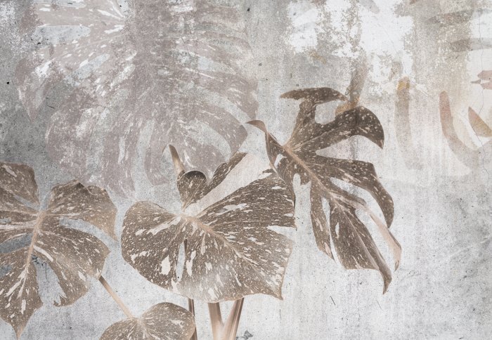 Fotobehang Monsterabladeren op een lichtgrijze betonnen achtergrond