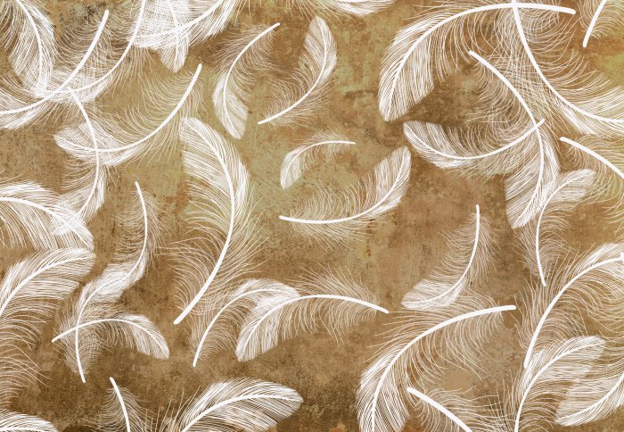 Fotobehang Witte veren op betonnen compositie