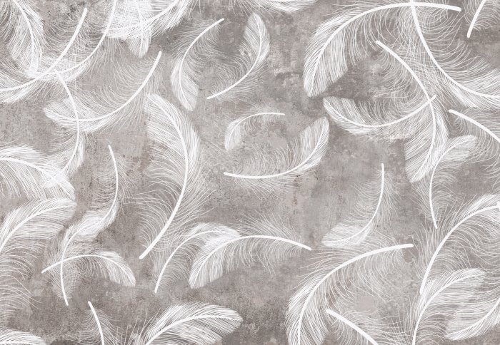 Fotobehang Witte veren op een grijze betonnen achtergrond