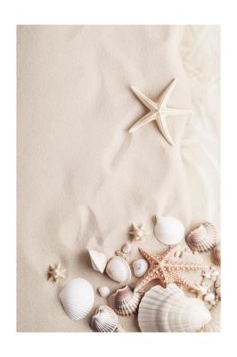 Poster Schelpjes en zeesterren op een zanderig strand