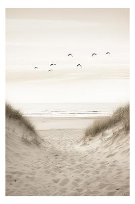 Poster Zonsondergang boven zee schilderachtig landschap