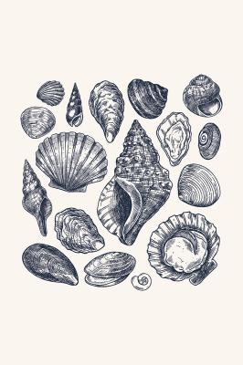 Poster Schelpjes op een beige achtergrond